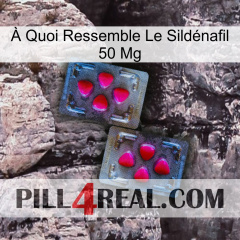 À Quoi Ressemble Le Sildénafil 50 Mg 15